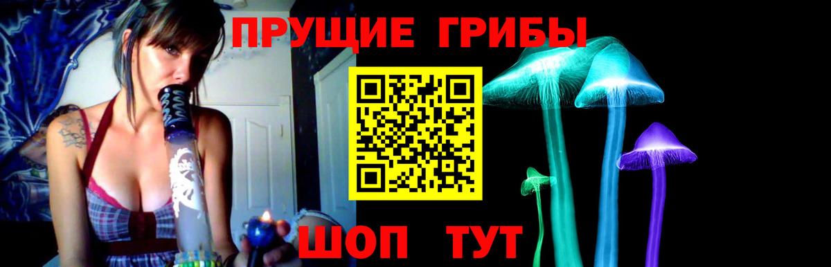Галлюциногенные грибы Cubensis Горячий Ключ